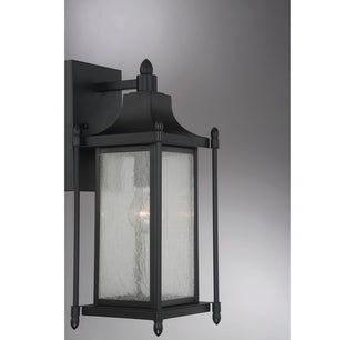 Dunnmore 1-Light Outdoor Wall Lantern in Black