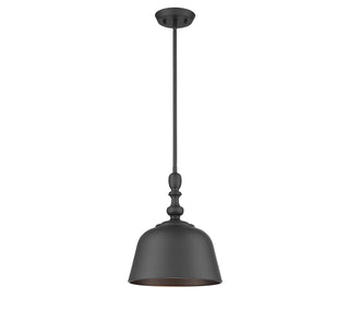 Berg 1-Light Pendant in Matte Black
