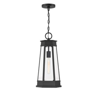 Payne 1-Light Outdoor Hanging Lantern in Matte Black