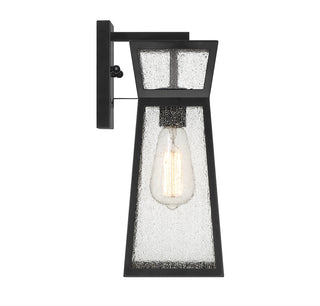 Millford 1-Light Outdoor Wall Lantern in Matte Black