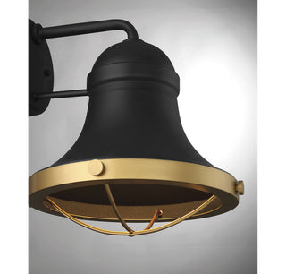 Belmont 1-Light Outdoor Dark Sky Wall Lantern in Textured Black with Warm Brass Accents