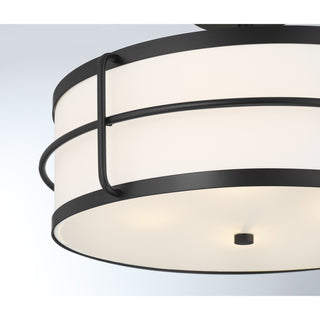 Chauncey 4-Light Ceiling Light in Matte Black