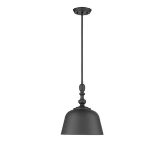 Berg 1-Light Pendant in Matte Black