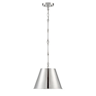 Alden 1-Light Pendant in Polished Nickel