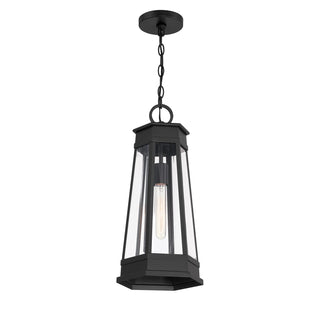 Payne 1-Light Outdoor Hanging Lantern in Matte Black
