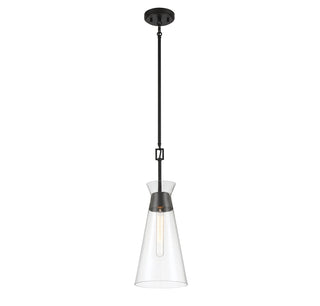Lakewood 1-Light Pendant in Matte Black