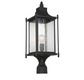 Dunnmore 1-Light Outdoor Post Lantern in Black