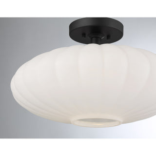 1-Light Ceiling Light in Matte Black