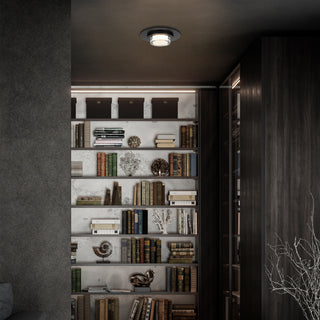 Plate Flush Mount in Sand Black