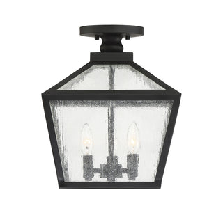 Woodstock 3-Light Outdoor Ceiling Light in Black