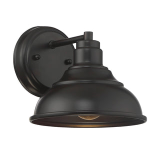 Dunston DS 1-Light Dark Sky Wall Lantern in English Bronze