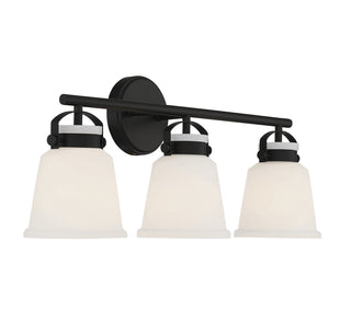 Kaden 3-Light Bathroom Vanity Light in Matte Black