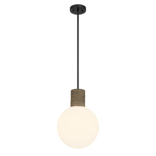 Jarrell 1-Light Pendant in Matte Black