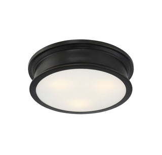 Watkins 3-Light Ceiling Light in Classice Bronze