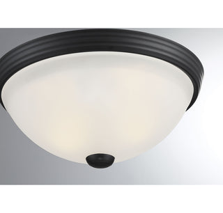 2-Light Ceiling Light in Matte Black