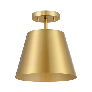 1-Light Ceiling Light in Natural Brass