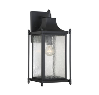 Dunnmore 1-Light Outdoor Wall Lantern in Black