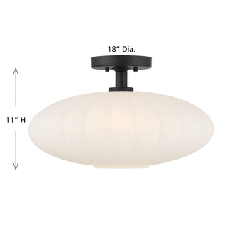 1-Light Ceiling Light in Matte Black