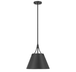 Willis 1-Light Pendant in Matte Black
