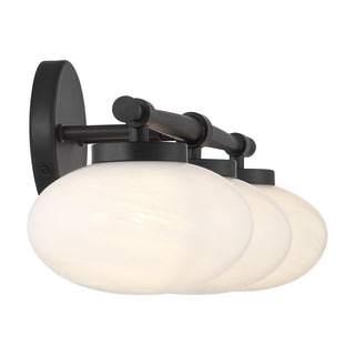 Barrow 3-Light Bathroom Vanity Light in Matte Black