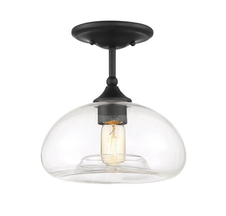 1-Light Ceiling Light in Matte Black