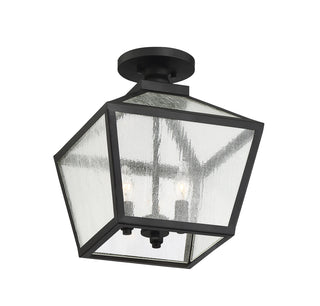 Woodstock 3-Light Outdoor Ceiling Light in Black