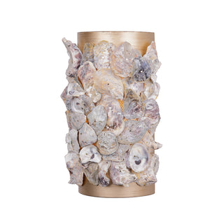 Leanne 1-Light Wall Sconce in Chandon by Breegan Jane