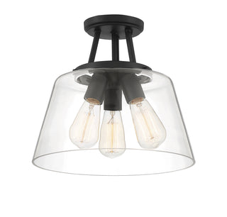 Calhoun 3-Light Ceiling Light in Matte Black