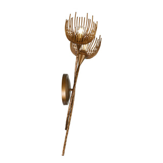Protea 2-Light Wall Sconce in Manchester by Breegan Jane