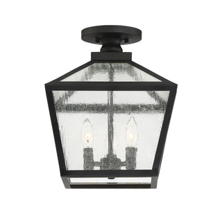 Woodstock 3-Light Outdoor Ceiling Light in Black