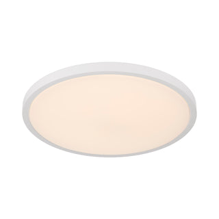 20" LED Flush Mount in White