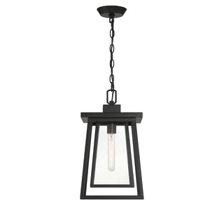 Denver 1-Light Outdoor Hanging Lantern in Matte Black