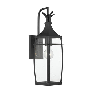 Montpelier 1-Light Outdoor Wall Lantern in Matte Black