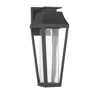 Brookline LED Outdoor Dark Sky Wall Lantern in Matte Black