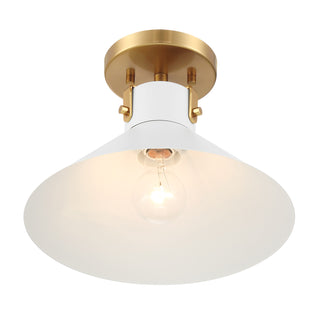 1-Light Ceiling Light in White and Natural Brass