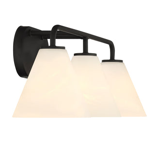 Blair 3-Light Bathroom Vanity Light in Matte Black
