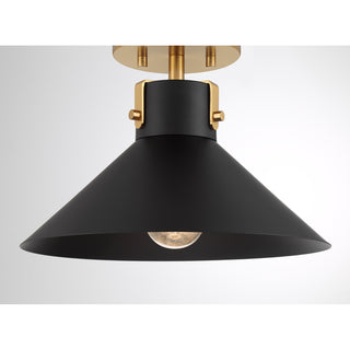 1-Light Ceiling Light in Matte Black and Natural Brass
