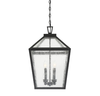 Woodstock 4-Light Outdoor Hanging Lantern in Black