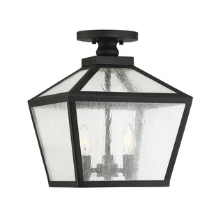 Woodstock 3-Light Outdoor Ceiling Light in Black