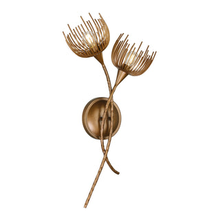 Protea 2-Light Wall Sconce in Manchester by Breegan Jane