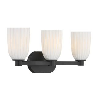Baldwin 3-Light Bathroom Vanity Light in Matte Black