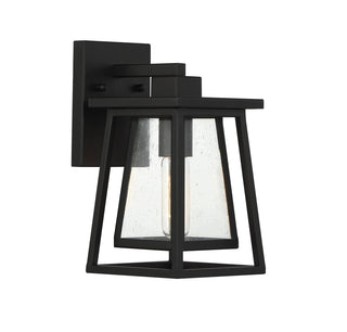 Denver 1-Light Outdoor Wall Lantern in Matte Black