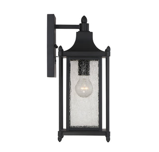 Dunnmore 1-Light Outdoor Wall Lantern in Black
