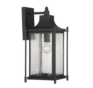 Dunnmore 1-Light Outdoor Wall Lantern in Black