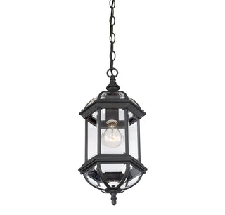 Kensington 1-Light Outdoor Hanging Lantern in Textured Black