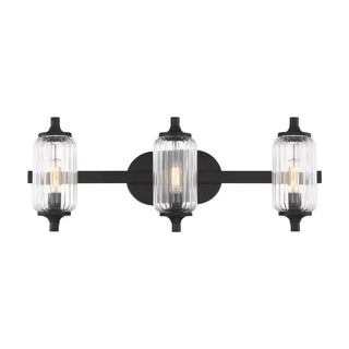 Holton 3-Light Bathroom Vanity Light in Matte Black