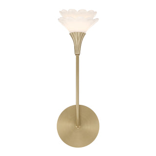 Florena 1-Light Wall Sconce in Noble Brass by Breegan Jane