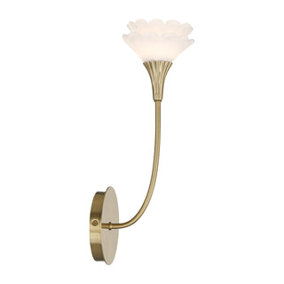 Florena 1-Light Wall Sconce in Noble Brass by Breegan Jane
