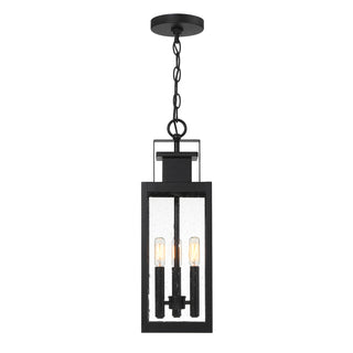 Ascott 3-Light Outdoor Hanging Lantern in Matte Black
