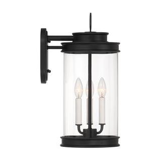 Englewood 3-Light Outdoor Wall Lantern in Matte Black